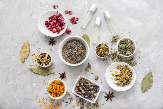 Fitomedicina y Ayurveda: un puente entre mundos
