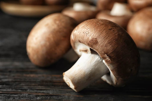 ¿Por qué consumir hongos Shiitake es bueno para ti?