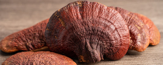 Reishi | Relax Antiage