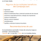 Hongos adaptógenos en cápsulas: Cordyceps, Reishi y Melena de León