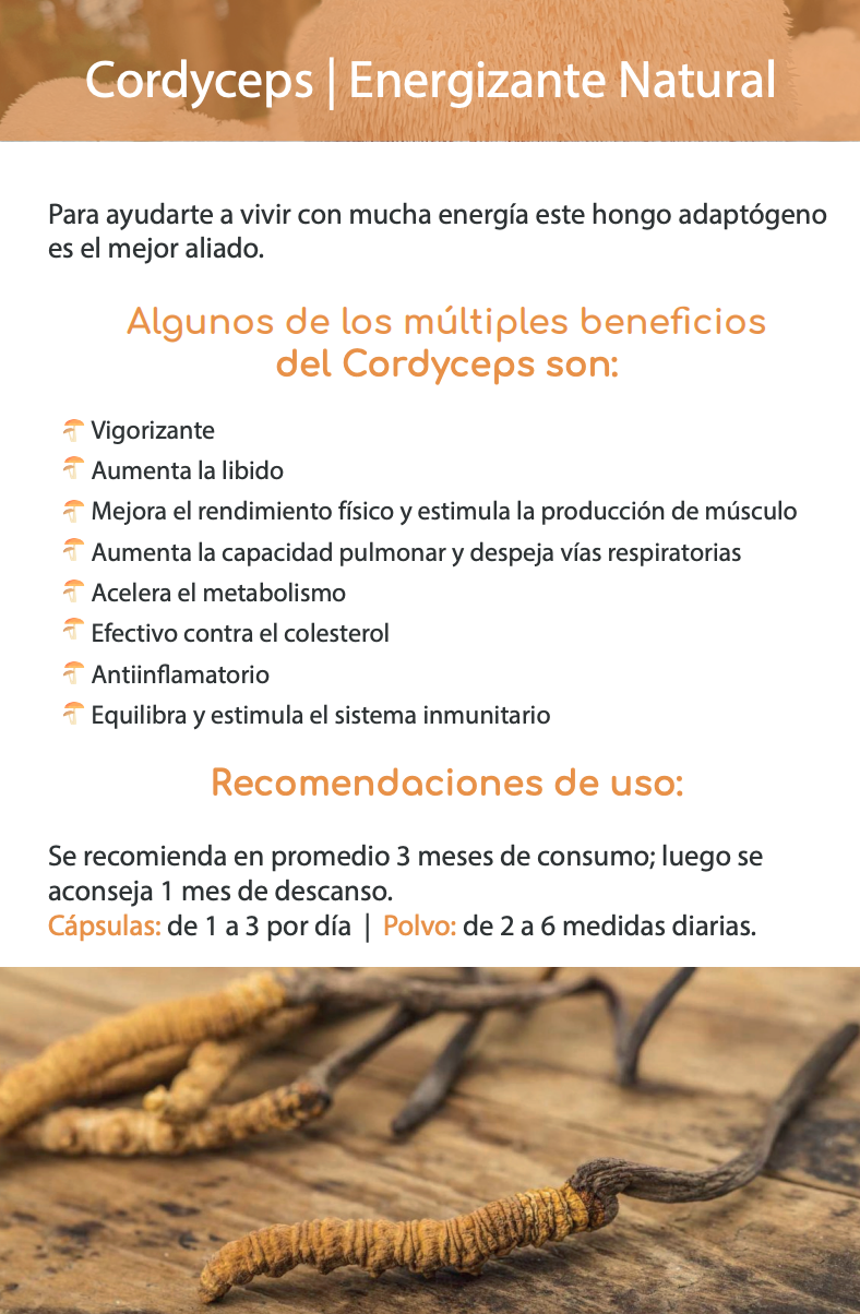 Hongos adaptógenos en cápsulas: Cordyceps, Reishi y Melena de León