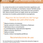 Hongos adaptógenos en cápsulas: Cordyceps, Reishi y Melena de León